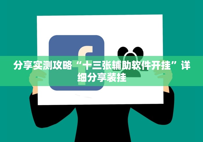 分享实测攻略“十三张辅助软件开挂”详细分享装挂