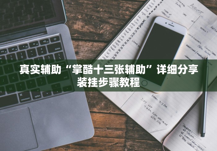 真实辅助“掌酷十三张辅助”详细分享装挂步骤教程