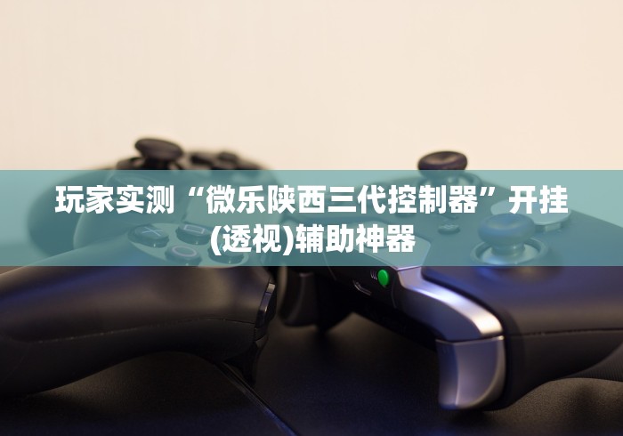 玩家实测“微乐陕西三代控制器”开挂(透视)辅助神器