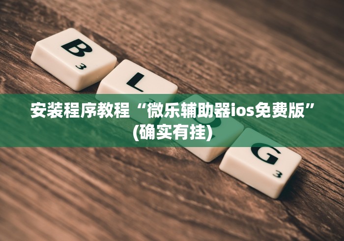 安装程序教程“微乐辅助器ios免费版”(确实有挂)