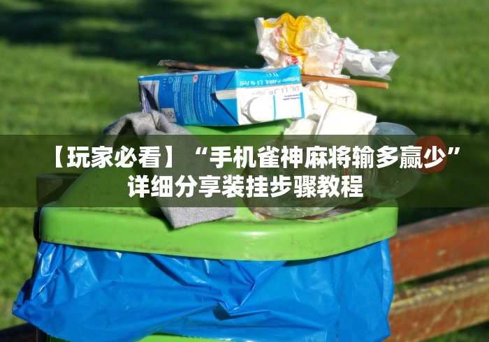 【玩家必看】“手机雀神麻将输多赢少”详细分享装挂步骤教程