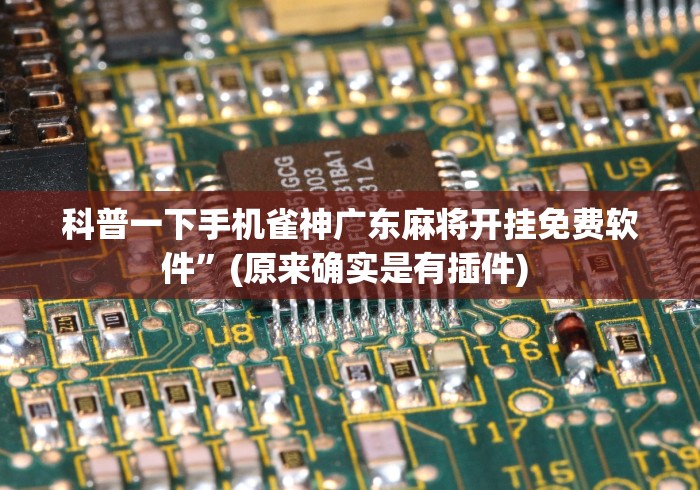 科普一下手机雀神广东麻将开挂免费软件”(原来确实是有插件) 