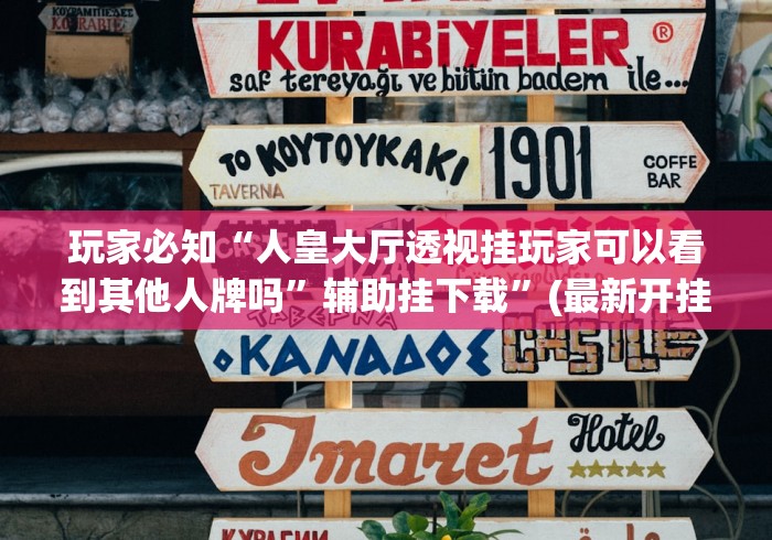 玩家必知“人皇大厅透视挂玩家可以看到其他人牌吗”辅助挂下载	”(最新开挂教程)