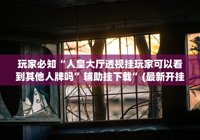 玩家必知“人皇大厅透视挂玩家可以看到其他人牌吗	”辅助挂下载”(最新开挂教程)