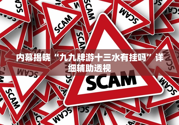 内幕揭晓“九九牌游十三水有挂吗	”详细辅助透视