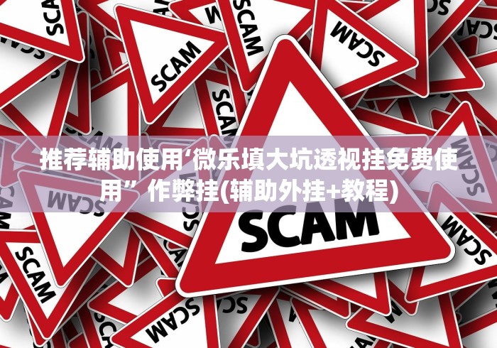 推荐辅助使用‘微乐填大坑透视挂免费使用”作弊挂(辅助外挂+教程)
