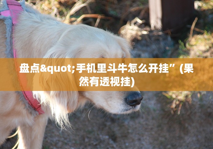 盘点"手机里斗牛怎么开挂”(果然有透视挂)