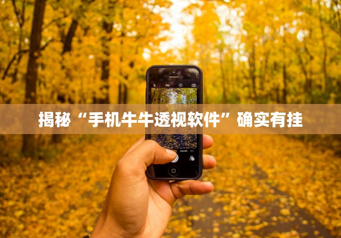 揭秘“手机牛牛透视软件”确实有挂