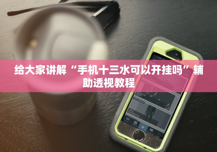 给大家讲解“手机十三水可以开挂吗”辅助透视教程