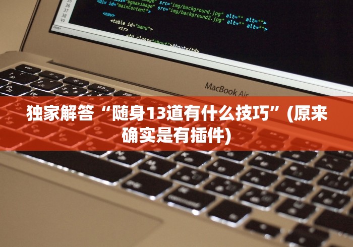 独家解答“随身13道有什么技巧”(原来确实是有插件)