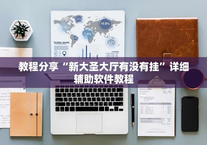 教程分享“新大圣大厅有没有挂”详细辅助软件教程