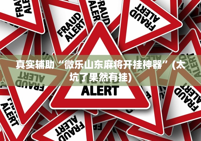 真实辅助“微乐山东麻将开挂神器	”(太坑了果然有挂)