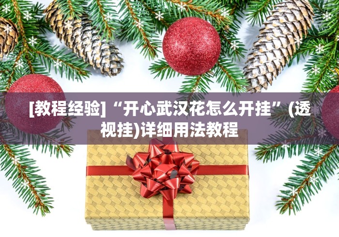 [教程经验]“开心武汉花怎么开挂”(透视挂)详细用法教程