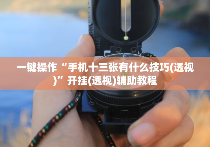 一键操作“手机十三张有什么技巧(透视)”开挂(透视)辅助教程