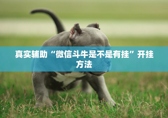 真实辅助“微信斗牛是不是有挂”开挂方法